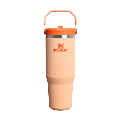 Stanley 1913 Flip Straw Tumbler 1.0 Water Bottle with Straw 0.89L - Keeps Cold for 12+ Hours - Stainless Steel Drinking Bottle - BPA Free - Easy to Carry - Dishwasher Safe